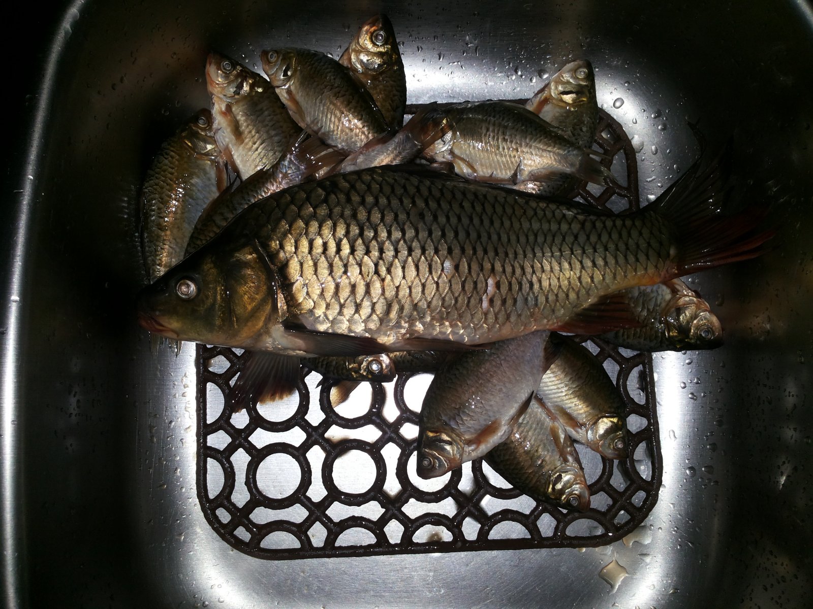 20130716_194608.jpg