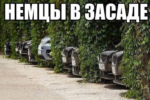 555087598.jpeg