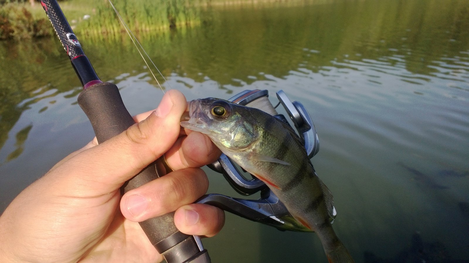 WP_20130818_001.jpg