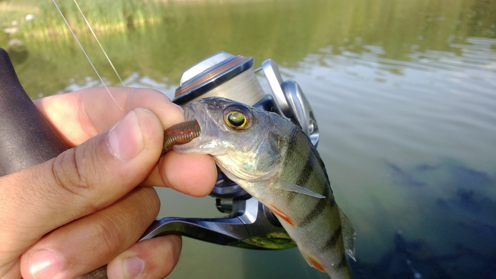 WP_20130818_002.jpg