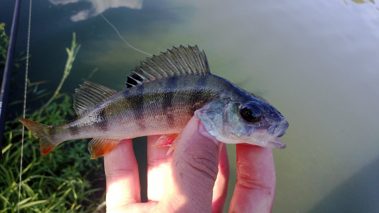 WP_20130818_008.jpg