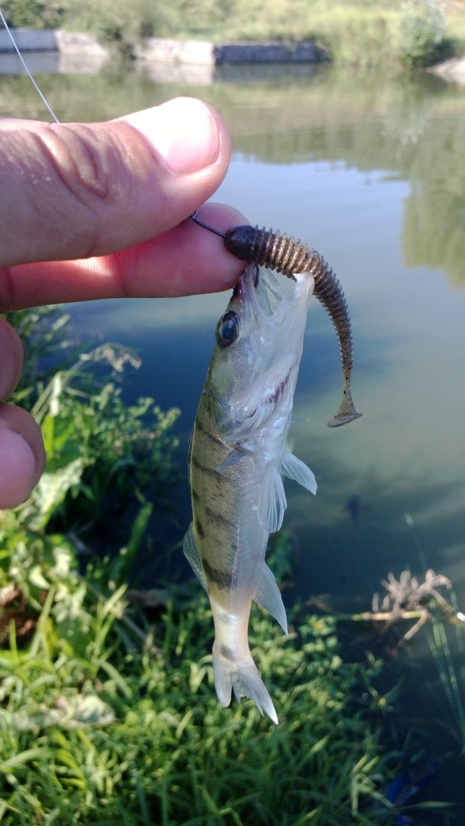 WP_20130820_010.jpg