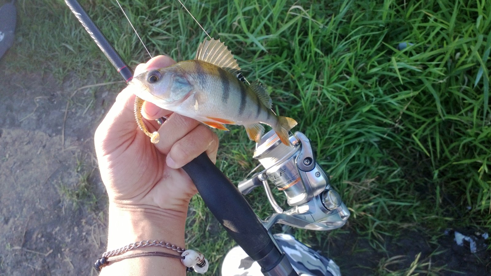 WP_20130820_011.jpg