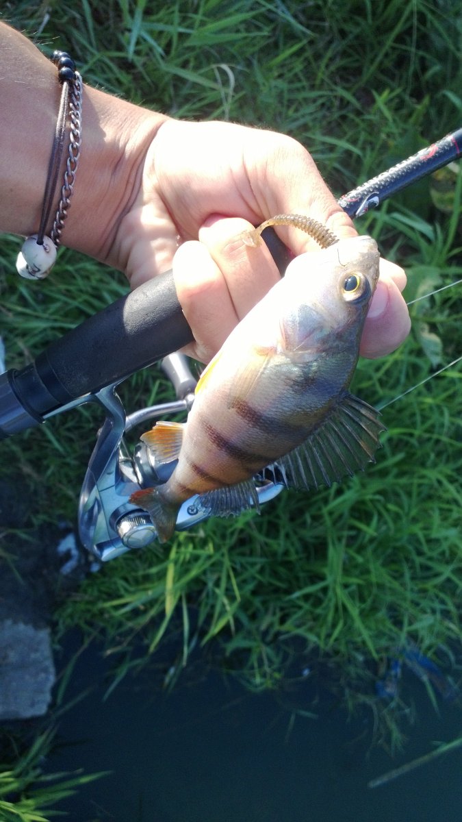 WP_20130820_012.jpg