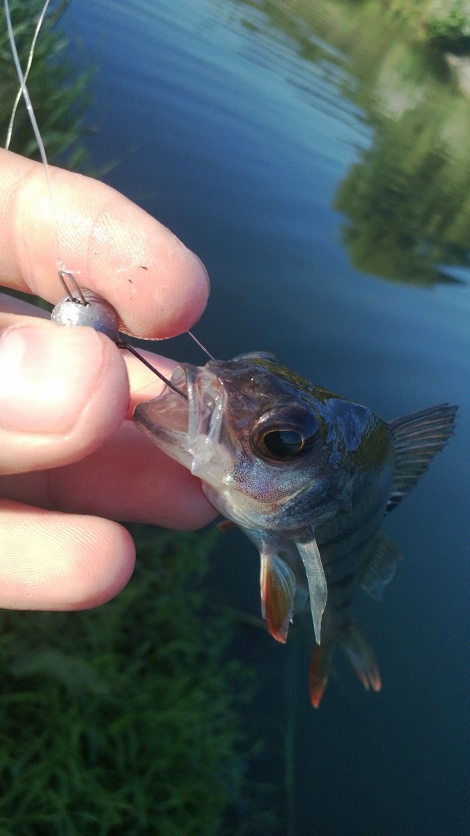 WP_20130820_013.jpg