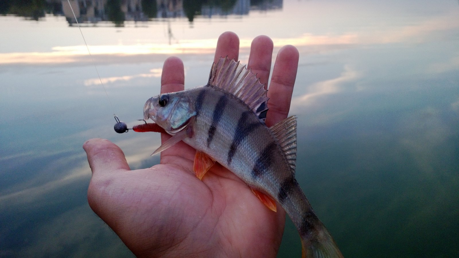 WP_20130822_008.jpg
