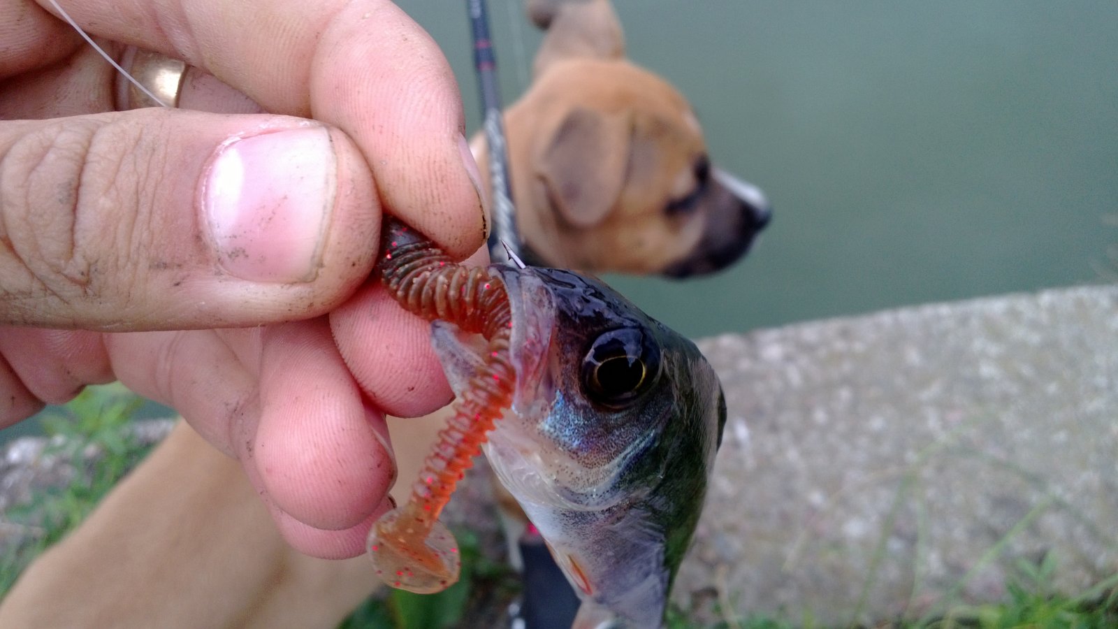 WP_20130824_006.jpg