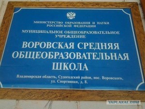 2011489.jpg