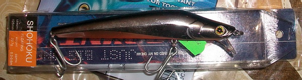 100_7198.jpg