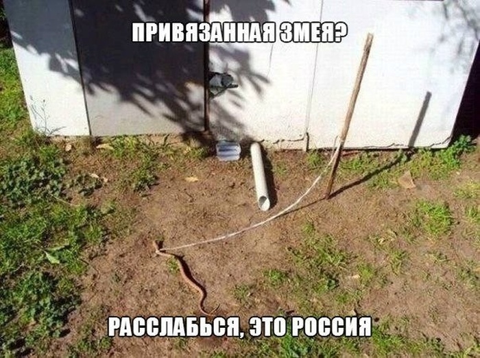 1381686306_z-79.jpg