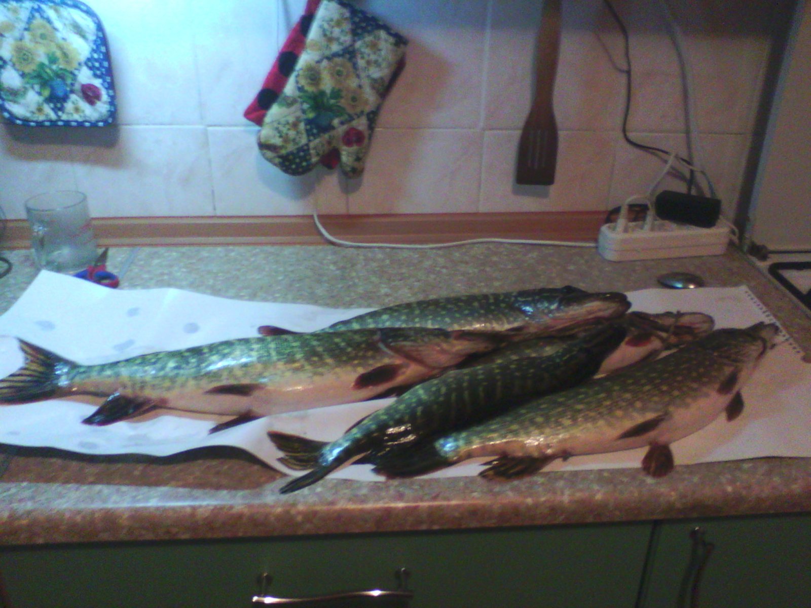 IMG_20131125_155336.jpg