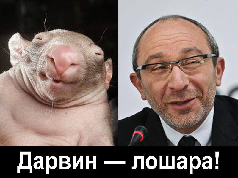 getImage.jpg