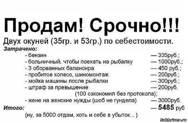 803270409.jpg