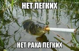 44719-a42ce6f49ff5a23d4132e4543fc60b10.jpg