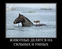 images (2).jpg