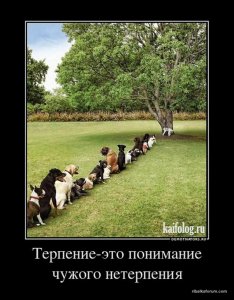 50523-44a77c0b0e1d2848f8d9ed8f58dd7c4a.jpg