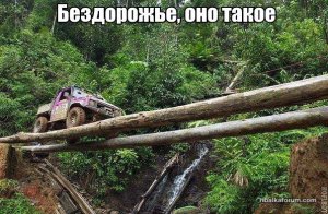 51599-312d98012f54c2880018bbc37a1dc3f0.jpg