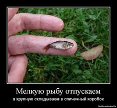 images.jpg