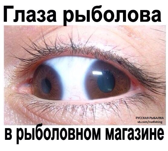 K10yKMu0dYw.jpg