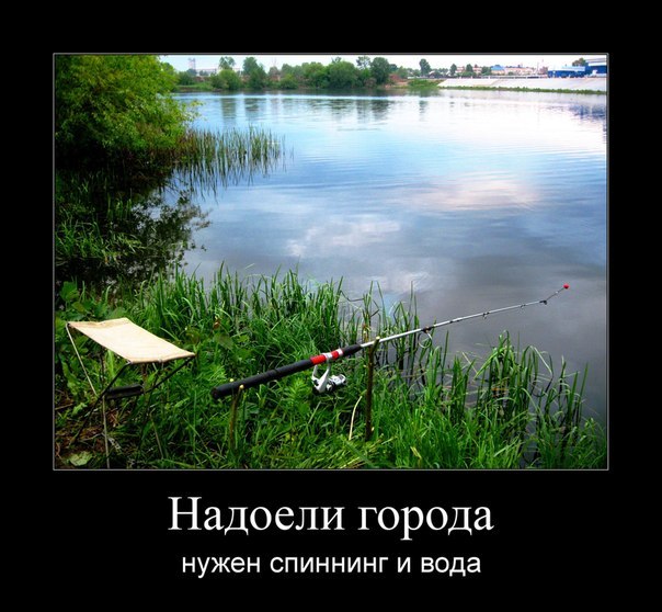 N4oZISJVxBo.jpg