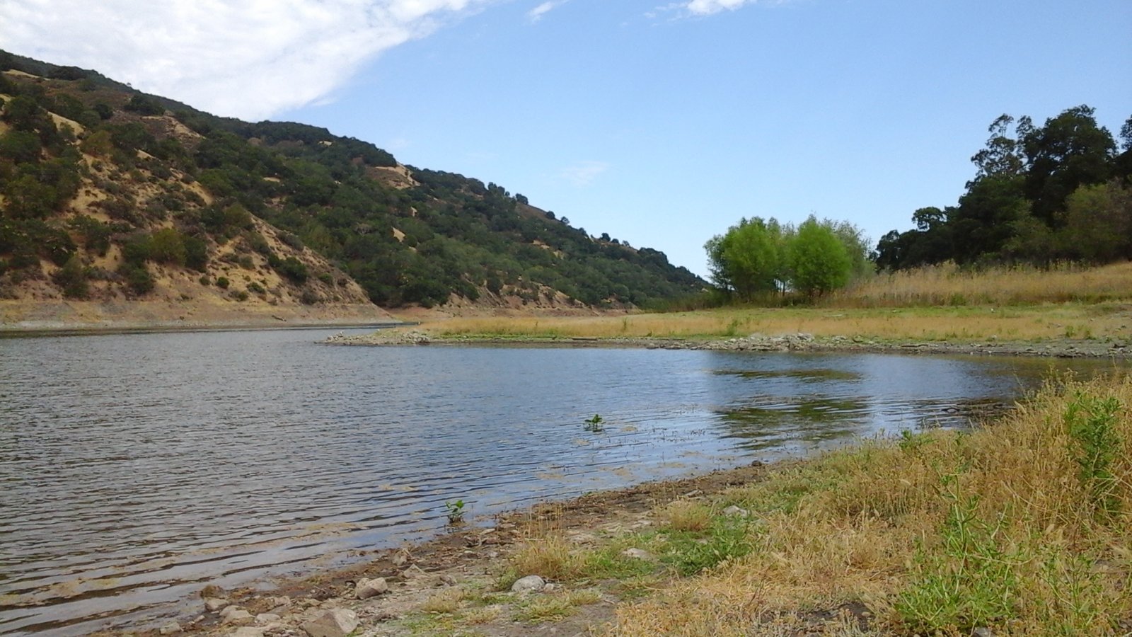 20140707_162926.jpg