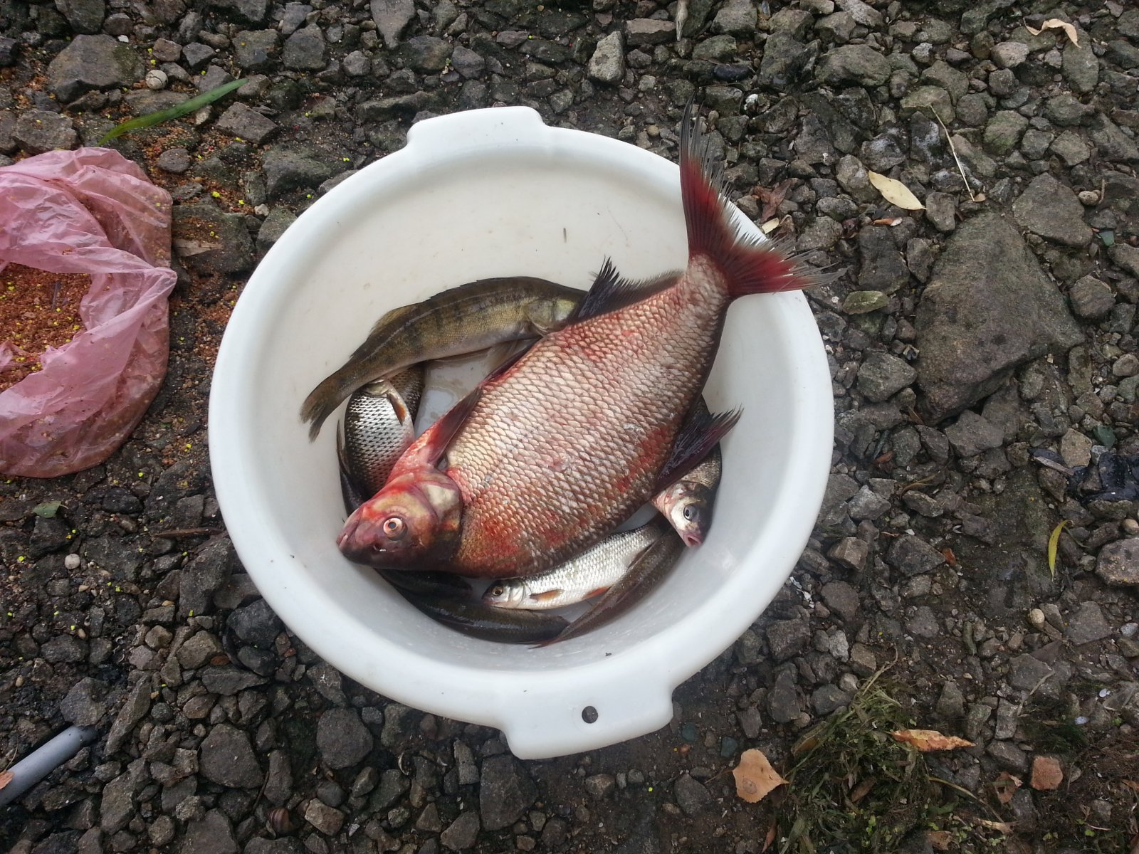 20140817_134625.jpg