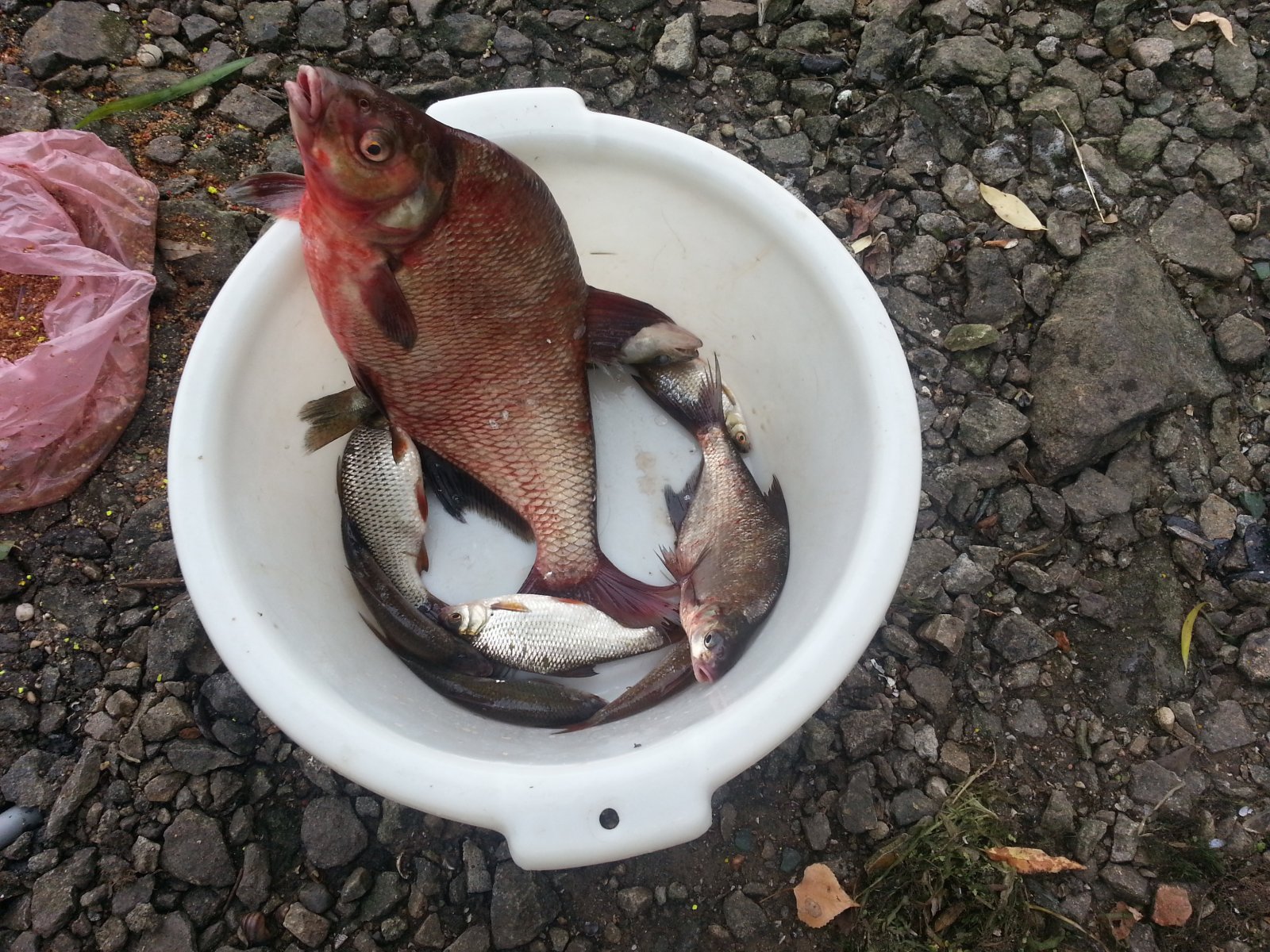 20140817_134637.jpg