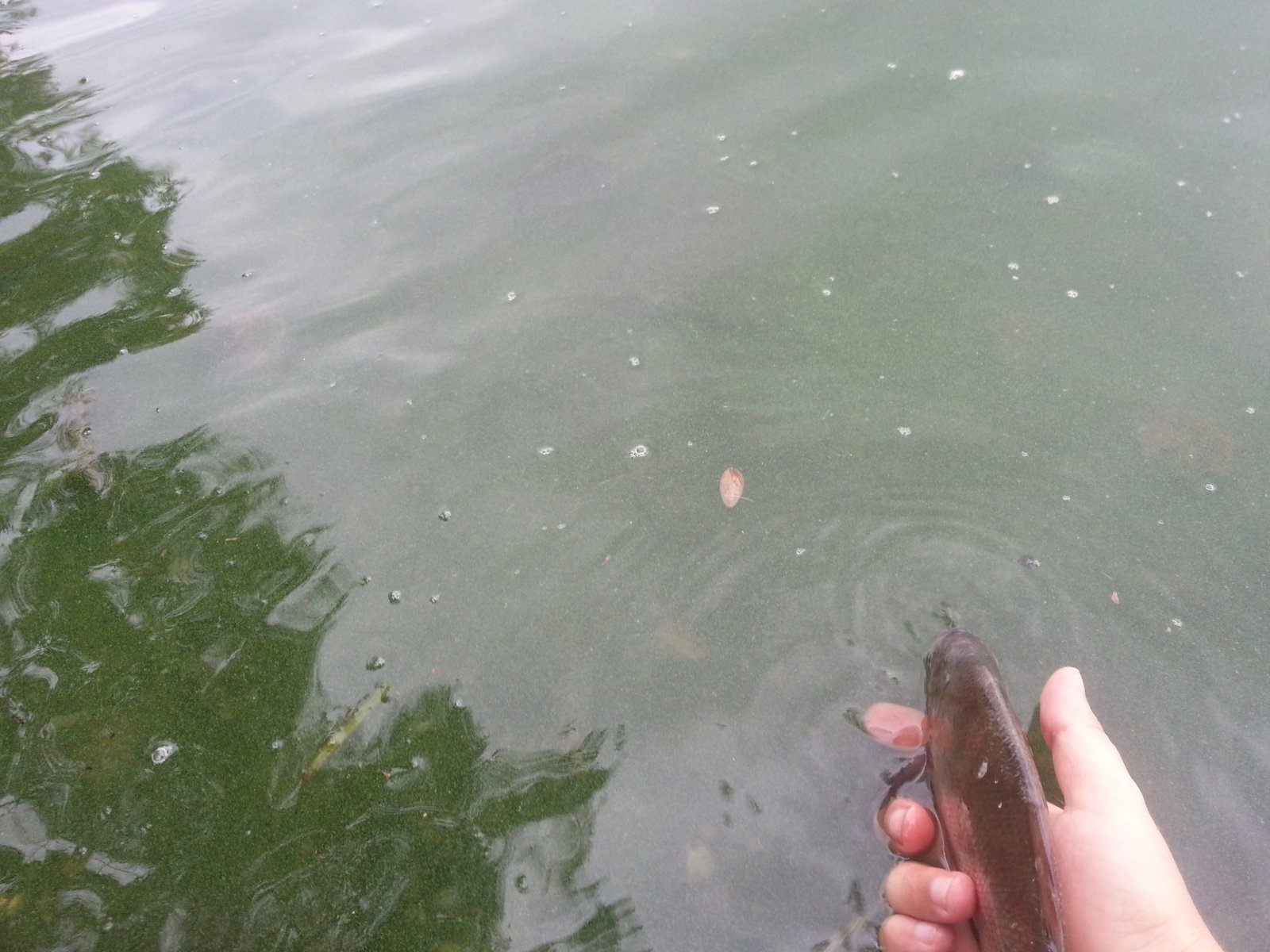 20140817_134733.jpg