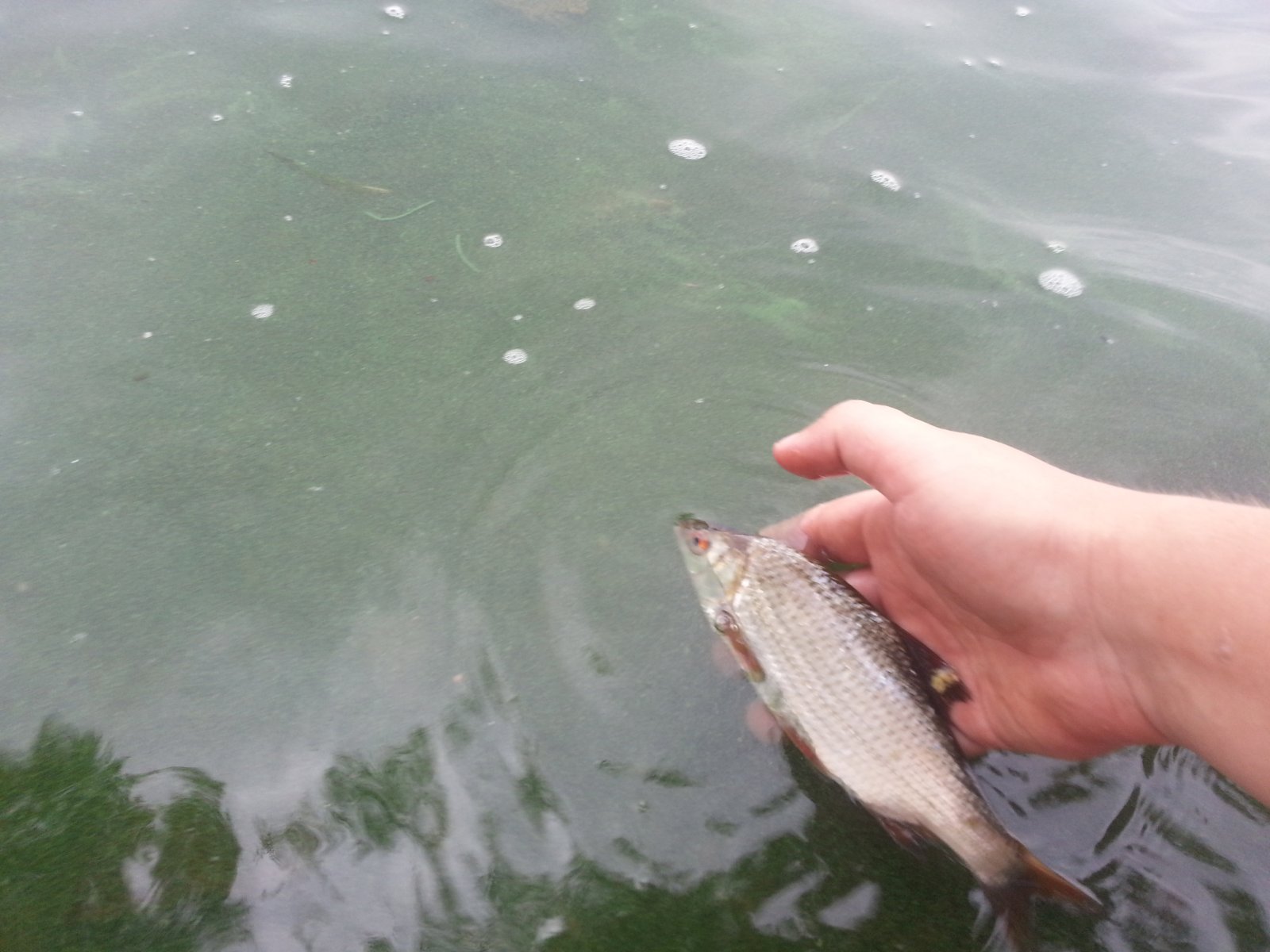 20140817_134826.jpg
