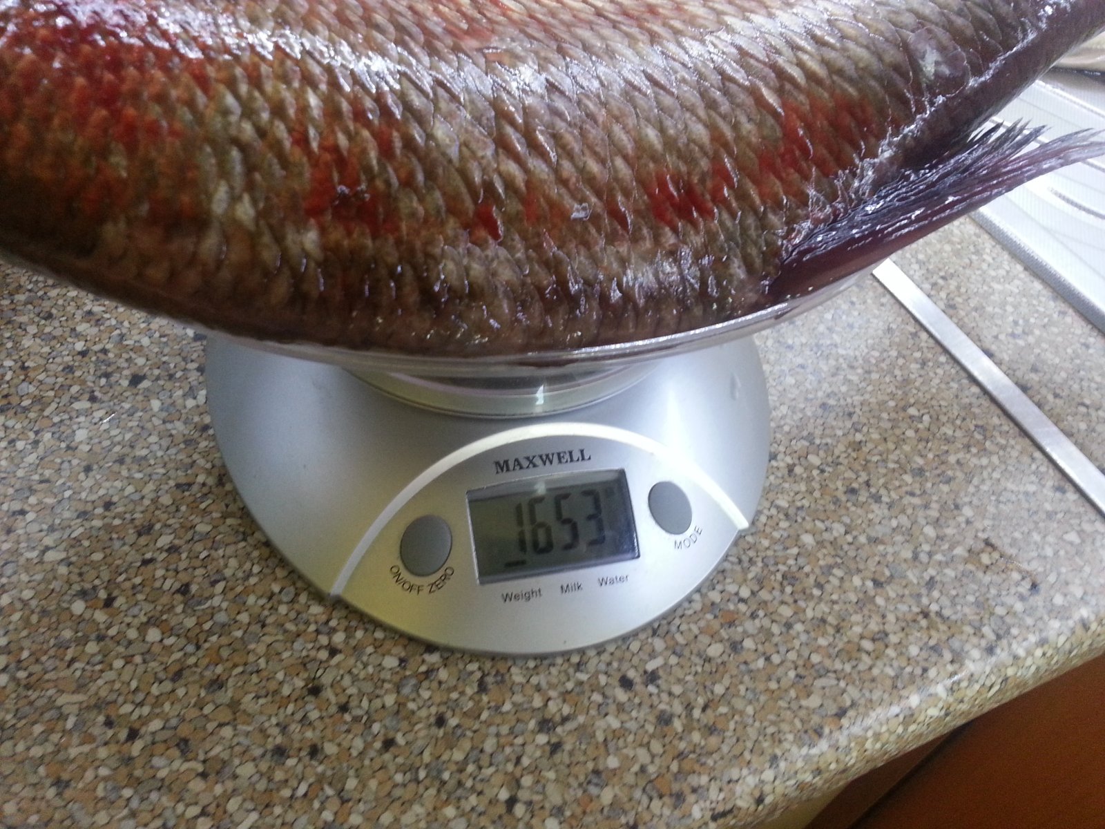 20140817_141807.jpg