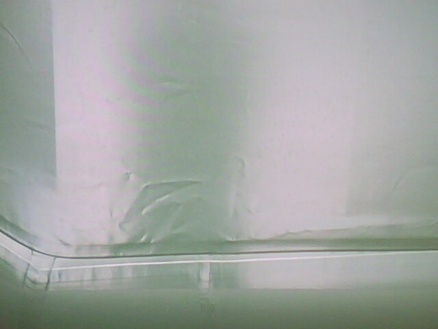 IMG0193A.jpg