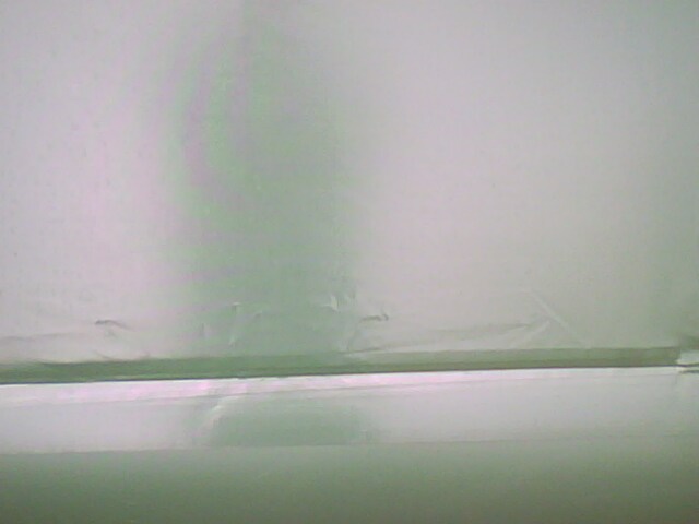 IMG0194A.jpg