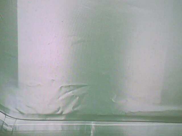 IMG0197A.jpg