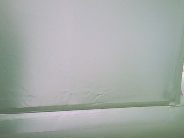 IMG0199A.jpg