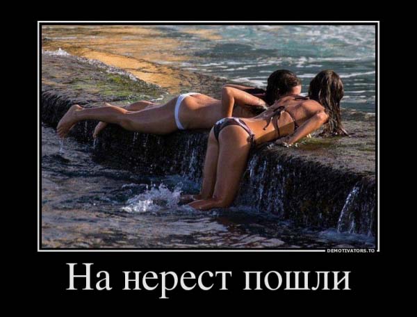 Нерест.jpg