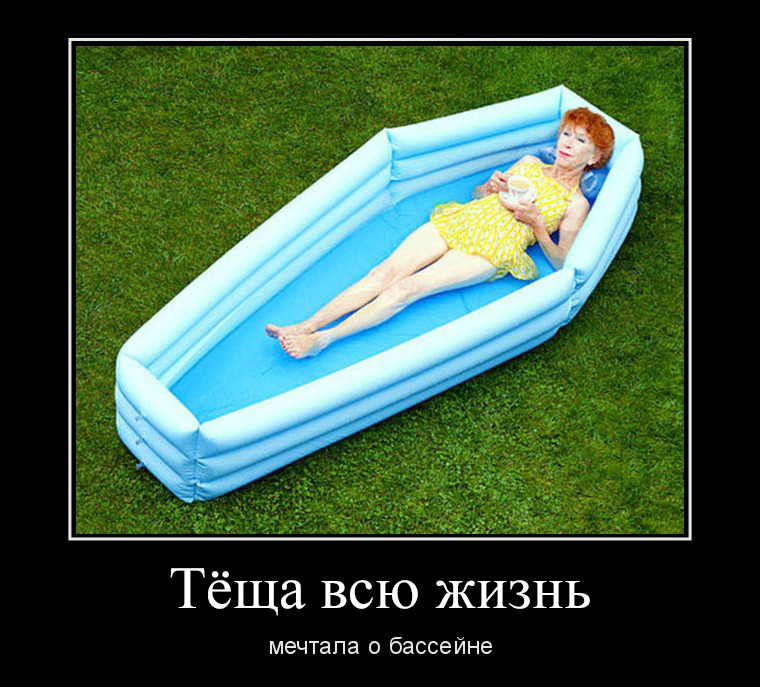 4067537.jpg