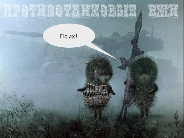 ежи.jpg