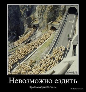 63060-8e8e9be8e55be4ca6334689203e05f7b.jpg