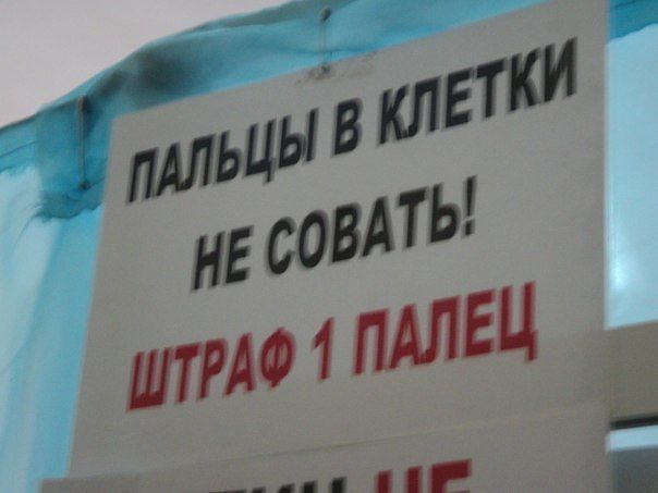 getImage (7).jpg