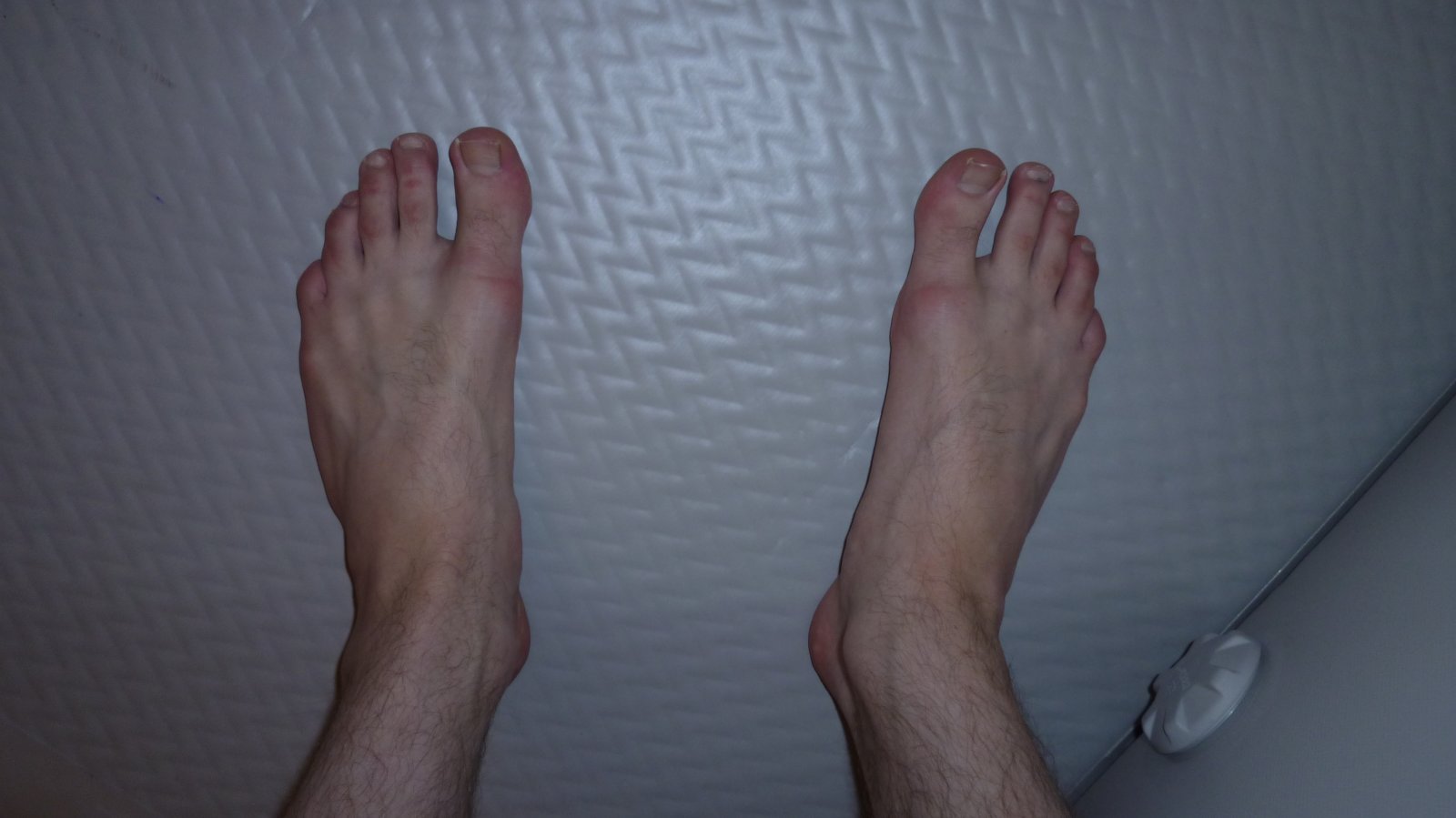 P1020085.JPG
