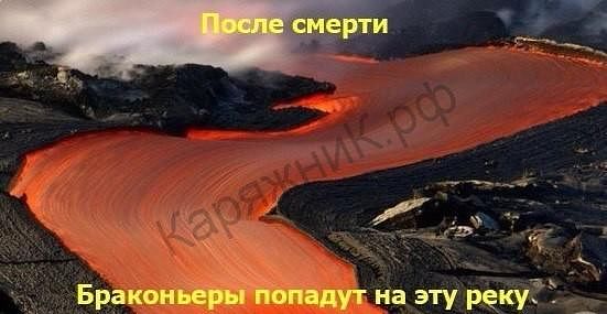 браконьеры.jpg