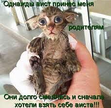 а вот и я.jpg