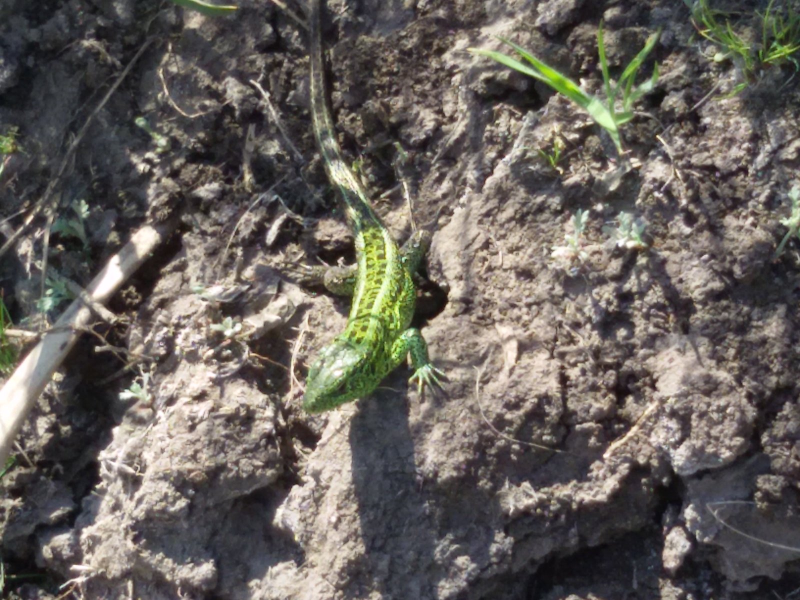 20150501_134049.jpg