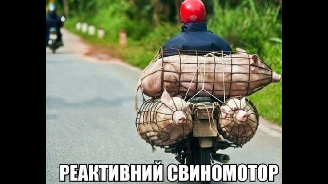 2b638a42386accfb06861f2faf3e8aa1f2144b1a7850a889025ac04264aed9b4.jpg