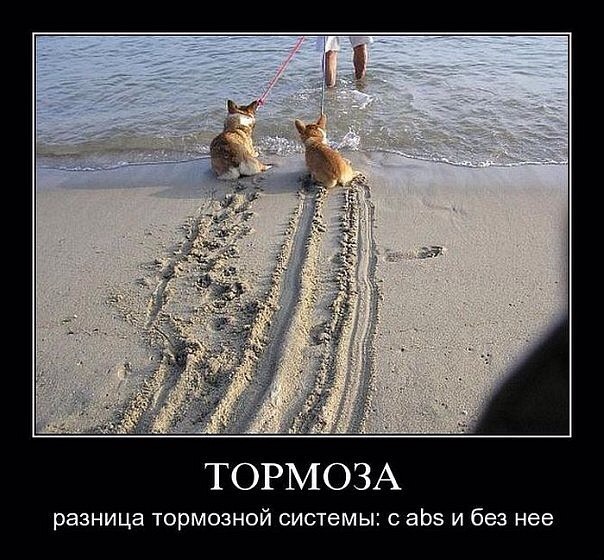 fb876a4a79aca2f1144523e879e06a4f32661b441ee5b5af43fdbfa7a05843dc.jpg