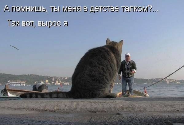 28649_0_1.jpg