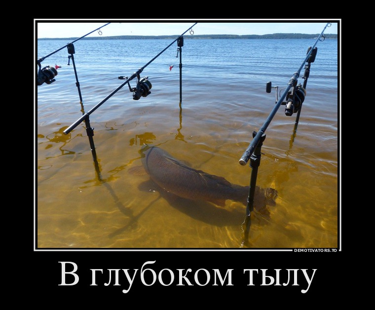 84858581_v-glubokom-tyilu.jpg