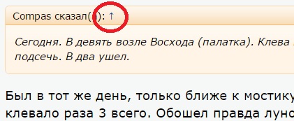 zit.jpg