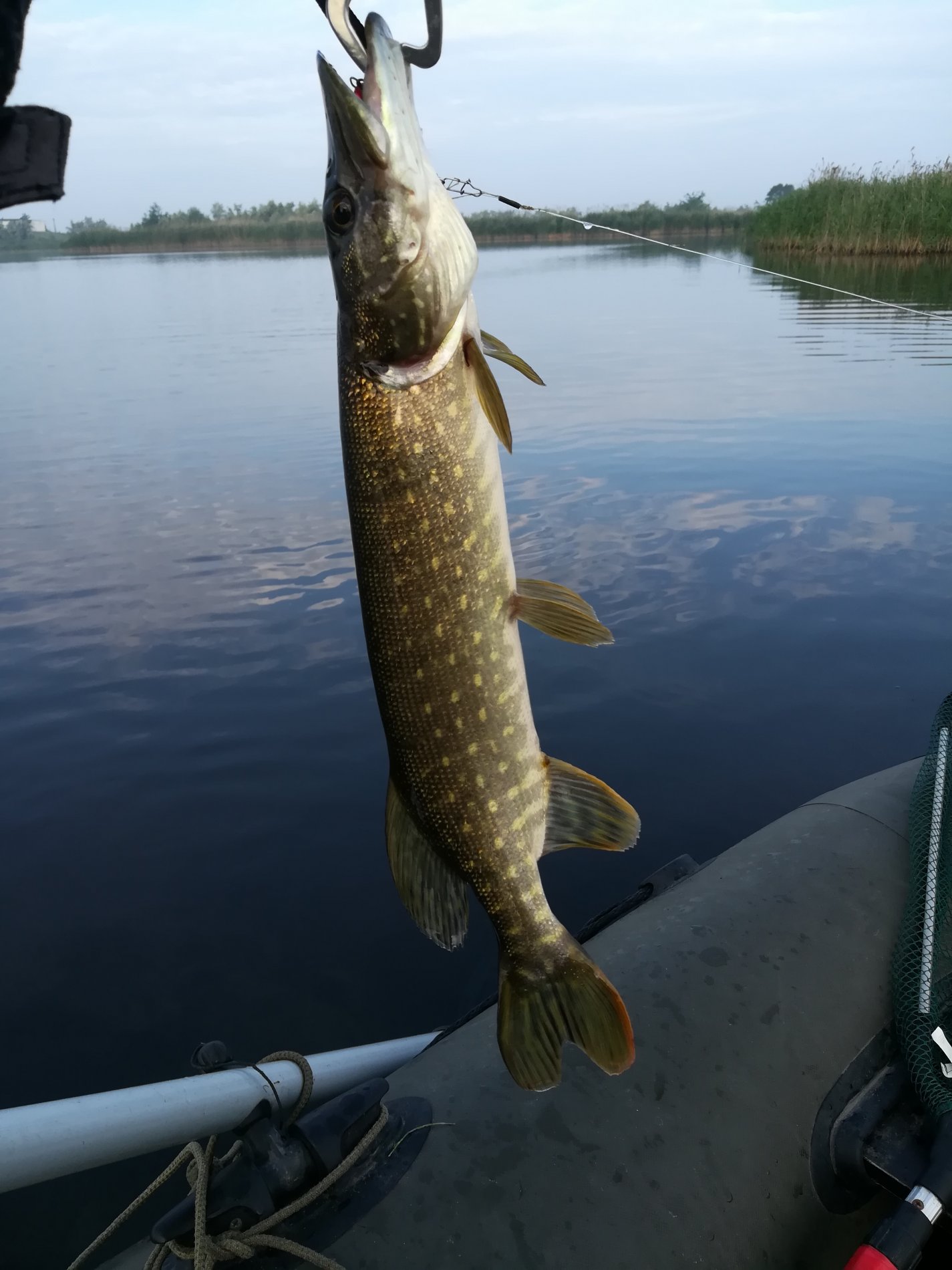 IMG_20190526_065518.jpg