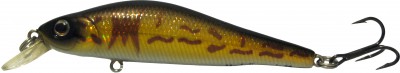 958_l.jpg